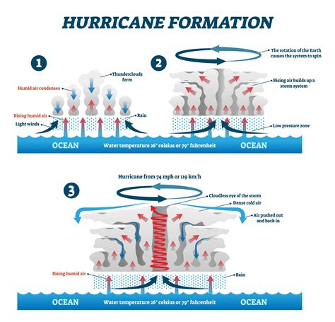 How Hurricanes Form What Causes Hurricane Models