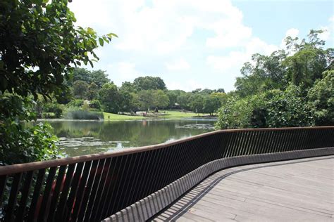 The singapore botanic gardens is the only botanic gardens with an opening hour from 5:00am in the morning until 12 midnight every day. Singapore Botanic Gardens - Opening Hours & Entrance Map
