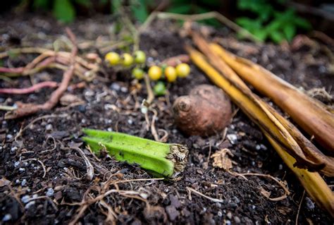 Composting coffee grounds is a great way to improve the overall health of compost. The Do's and Don'ts of Backyard Composting