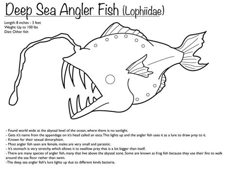 Deep Sea Angler Fish Coloring Page On