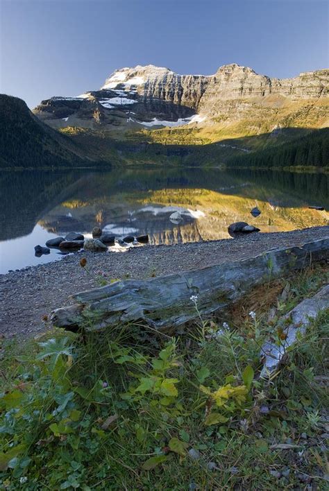 Cameron Lake Alberta Canada Photograph By Philippe Widling Fine Art