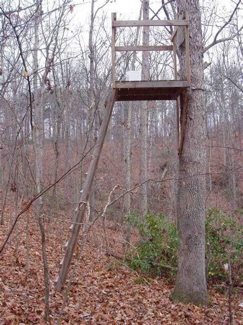 √ Homemade Hunting Tree Stands Alumn Photograph