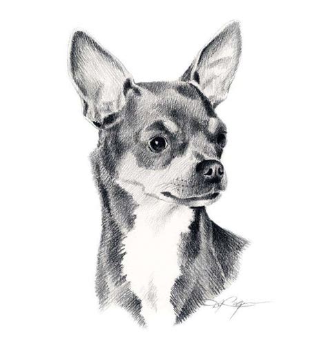 Chihuahua Dog Art Print Pencil Drawing By Artist Dj Rogers Etsy In