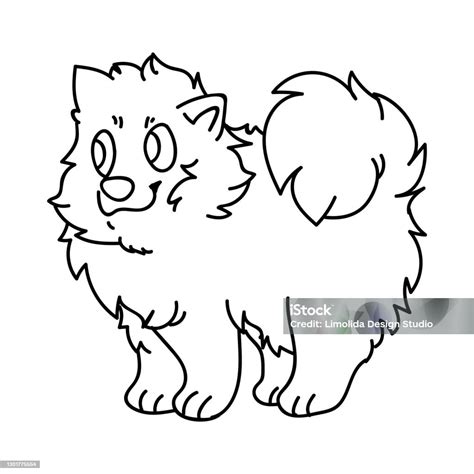 Kartun Lucu Monokrom Lineart Pomeranian Anjing Breed Vector Clipart