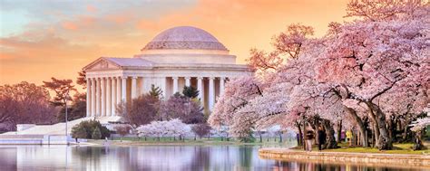 National Cherry Blossom Festival Events In Washington Dc