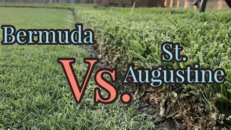 Bermudagrass Vs St Augustinegrass Warm Season Turf Youtube