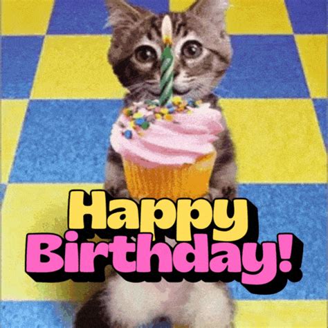 Happy Birthday Cat S Download Cute And Funny