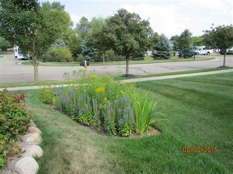 Rain Garden Design & Construction in Ann Arbor, MI | Creating ...