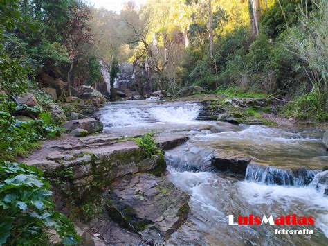 Stores and prices for 'manz cheleiros pomar do espirito santo. As 3 Cascatas de Sintra - GreenTrekker.pt