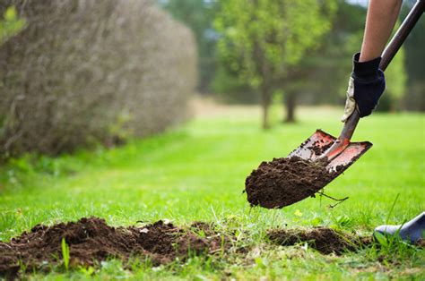 First Rule Of Hole Management Stop Digging Mariner Wealth Advisors