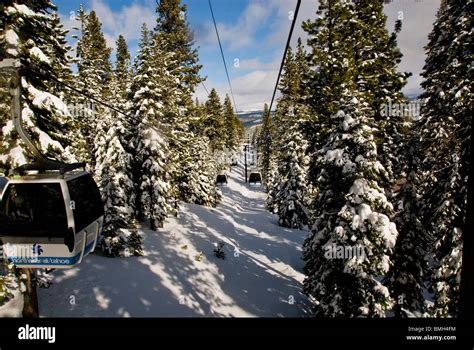 Gondolas Gondola Ski Lift Evergreens Winter Scene Northstar Village