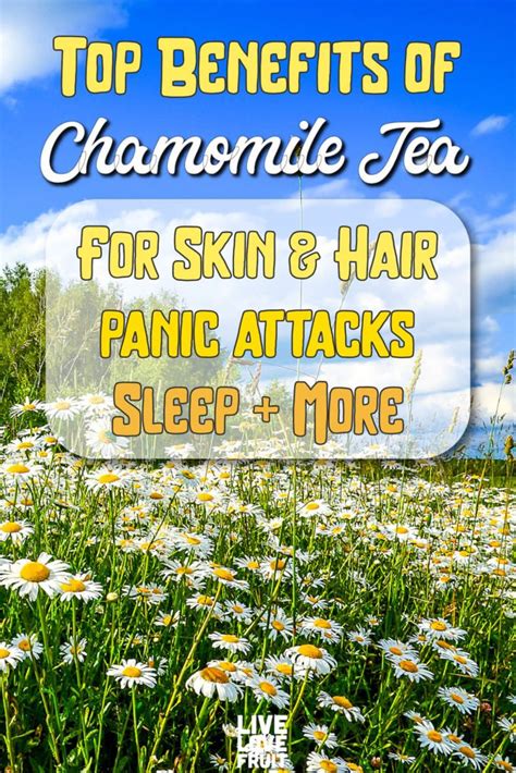 10 Surprising Health Benefits Of Chamomile Tea For Skin Hair More