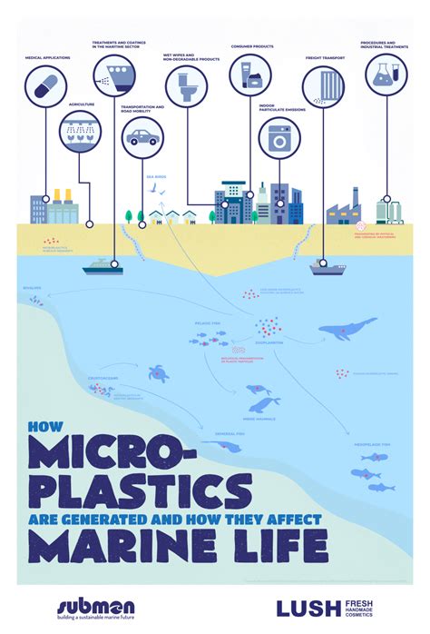 Infographic How Are Microplastics Generated And How Do They Affect