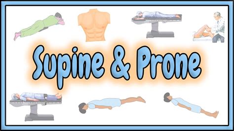 Supine Prone Positions D Animation Youtube
