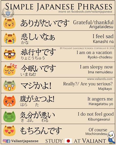 simple japanese phrases 英単語 文法レッスン 学習