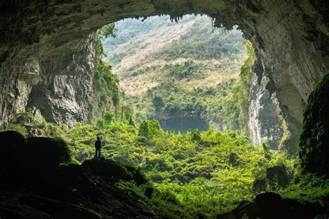 Men Nature Landscape Trees Forest China Cave Jungle Rock