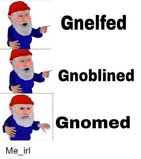 Gnelfed Gnoblined Gnomed Irl Meme On Meme