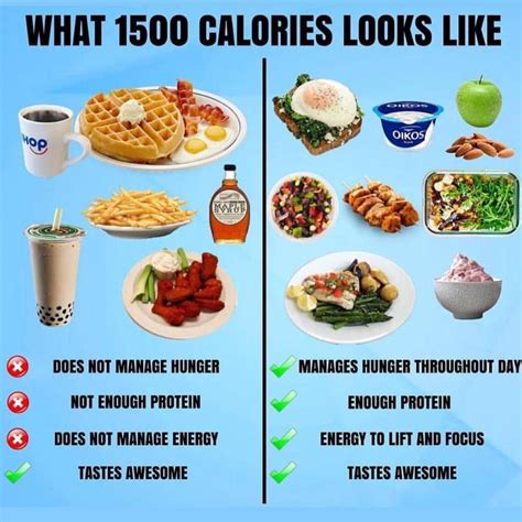 What Is 1500 Calories Looks Like