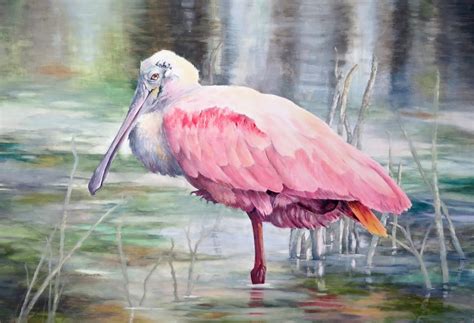 Roseate Spoonbill By Sherry Egger Anderson Fine Art Gallery