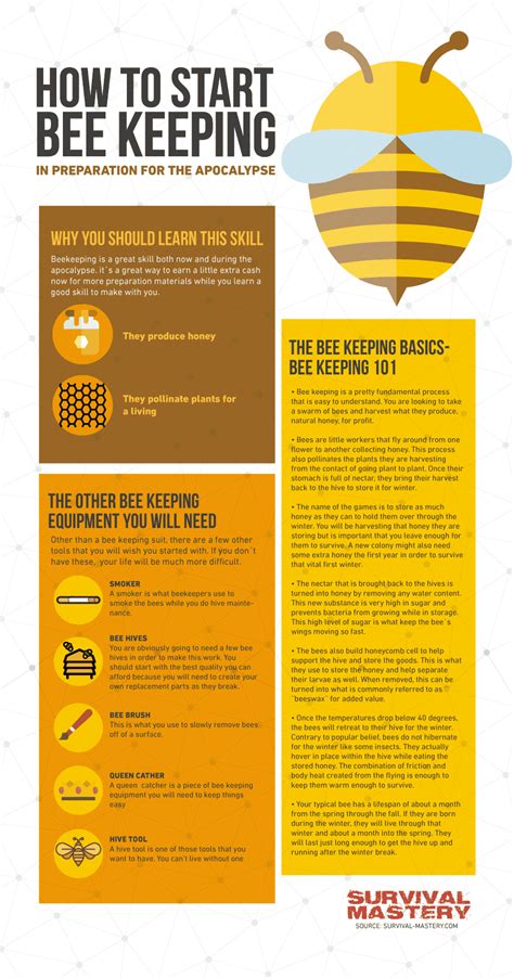 How To Raise Honey Bees Becoming A Beekeeper Survival Mastery