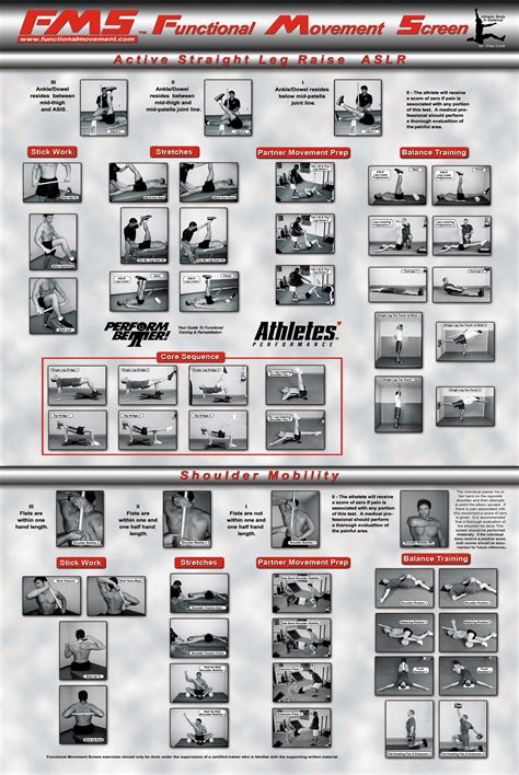functional movements the functional movement screen and corrective techniques poster set