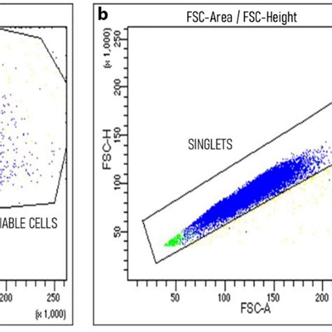 Flow Cytometry Gating Strategy The Dot Plots Show The Subsequent Gates