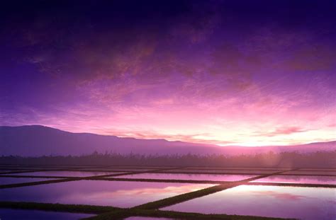 Purple Sunset Anime Wallpapers Wallpaper Cave