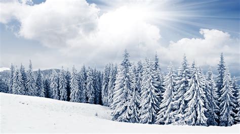 January Winter Desktop Wallpapers Top Free January Winter Desktop