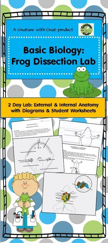 This Product Has Everything You Need Just Add Frogs This Lab Is