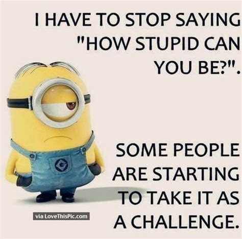 Funny Minion Pictures Funny Minion Memes Minions Quotes Funny Photos Funny Jokes Funny