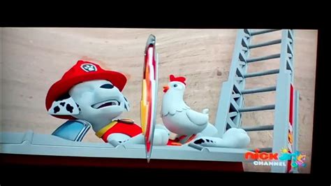 Paw Patrol Pups Save An Eagle Episode Clip Chickaletta🐓tickling