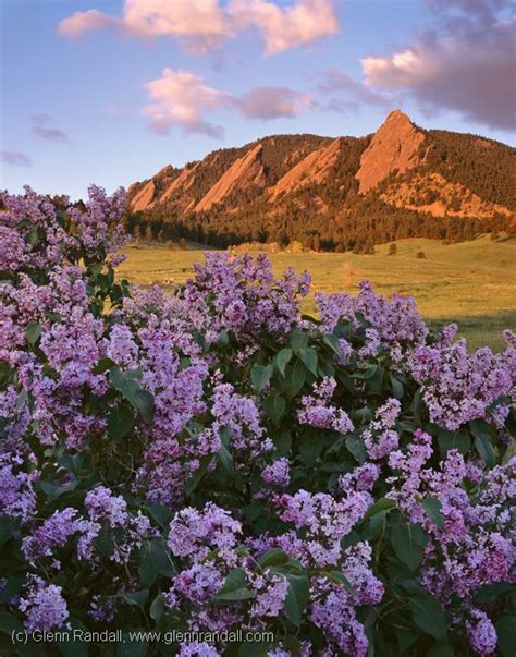 We did not find results for: Flatirons Four Seasons spring, near Boulder, Colorado ...