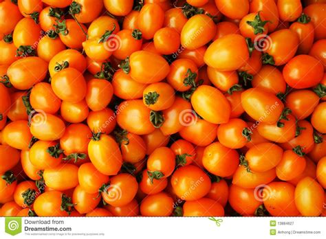 Cherry Tomato Stock Image Image Of Vegetarian Orange 13884627