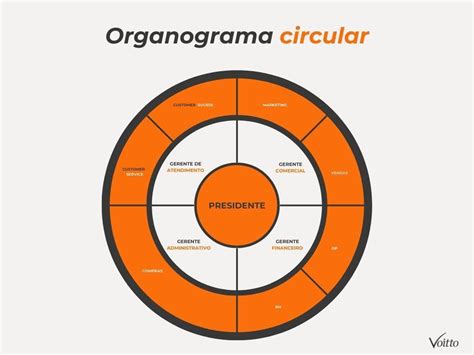 Organograma Circular Organograma Organograma Empresarial Images And Photos Finder
