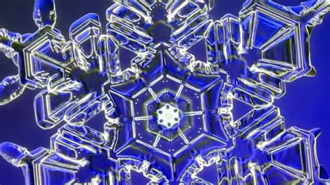 Super Sized Snowflakes Vt Artist Uses Microphotography To Zoom In On