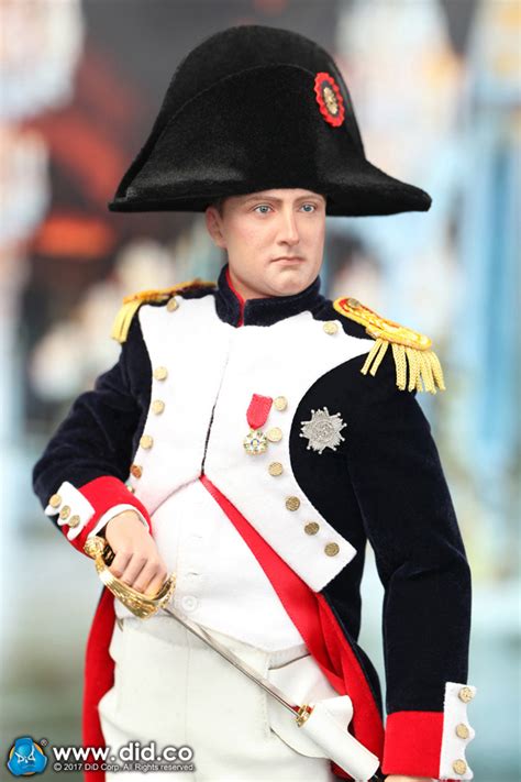 Napoléon, 20 ans de campagne. Emperor Of The French Napoleon Bonaparte - DID Corp.
