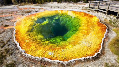 Tbt Report Details Gruesome Demise Of Man Who Fell In Acidic Yellowstone Hot Spring Dissolved