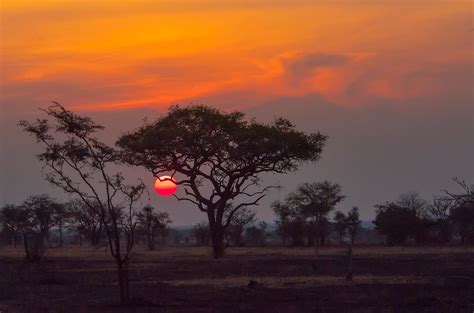 Serengeti Sunset Serenget National Park Tanzania Anita Ritenour