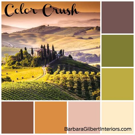 Color Crush The Hills Of Tuscany Barbara Gilbert Interiors