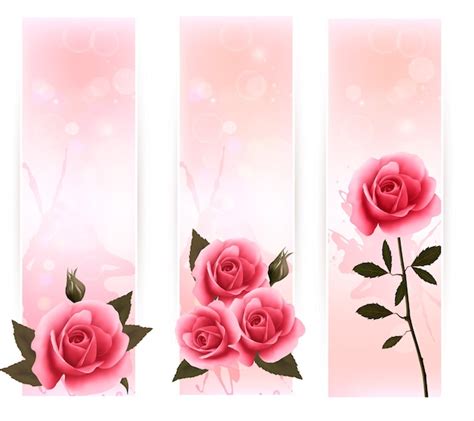 Premium Vector Three Banners With Pink Roses