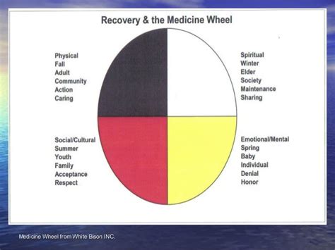 The Medicine Wheel Tx Planning And Refferal 11 10 10