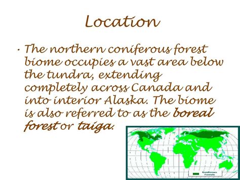 Ppt Coniferous Forest Biome Powerpoint Presentation Free Download
