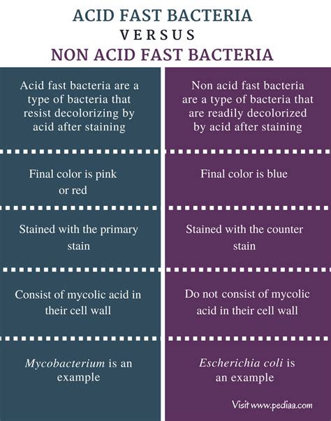 The spilled juice stained the. Difference Between Acid Fast and Non Acid Fast Bacteria ...
