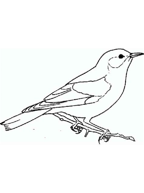 Bluebird Drawing At Getdrawings Free Download