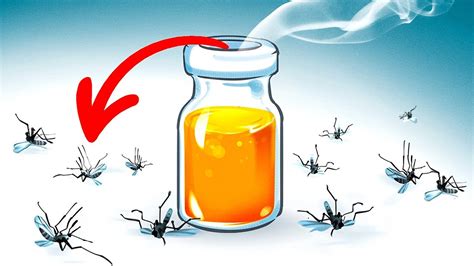 15 Natural Ways To Get Rid Of Mosquitoes In Your Yard Youtube