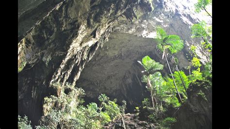 Inside The Deer Cave Mulu Sarawak Borneo Youtube