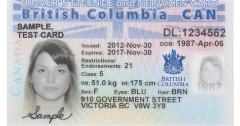 Canadian Driver License Format - treevn