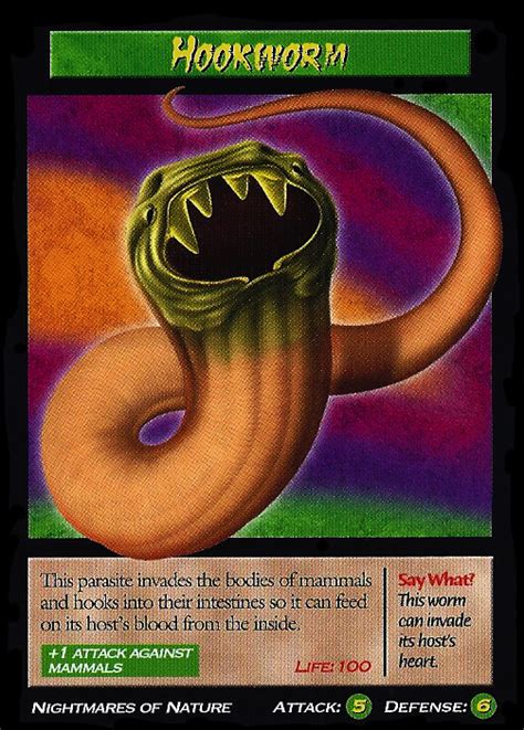 Hookworm Tcg Weird N Wild Creatures Wiki Fandom Powered By Wikia