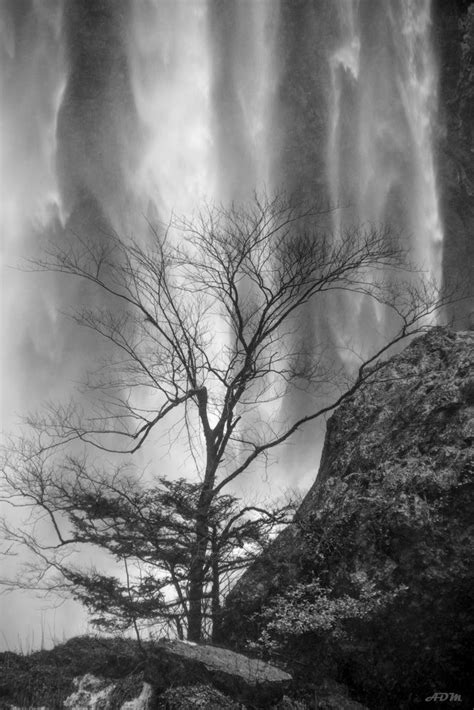 Ruidosa Soledad Imagen And Foto Paisajes Ríos Y Cascadas Naturaleza