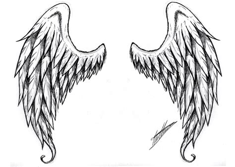 Free Angel Wings Black And White Download Free Angel Wings Black And